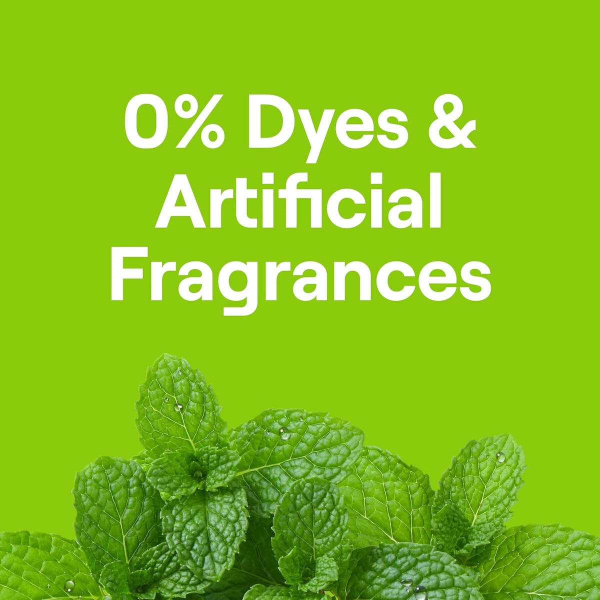 Toilet Bowl Cleaner, Fresh Mint scent, 24 oz