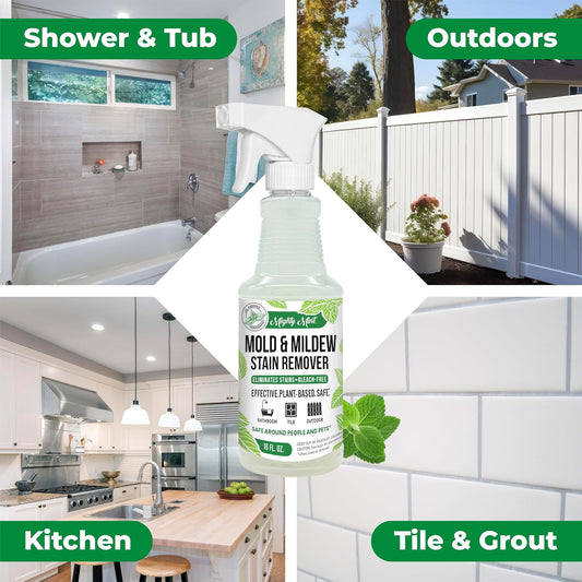Mold & Mildew Stain Remover Spray, Rapid Clean for Bathroom, Kitchen, Hard Water, Outdoors, Natural Peppermint Scent, 16oz