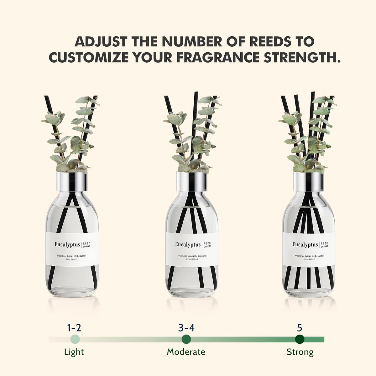 Reed Diffuser Set, 6.7 oz Eucalyptus Scented Diffuser with Sticks, Home Fragrance Reed Diffuser for Bathroom Shelf Decor