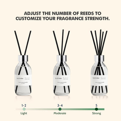 Reed Diffuser Set, 6.7 oz Eucalyptus Scented Diffuser with Sticks, Home Fragrance Reed Diffuser for Bathroom Shelf Decor