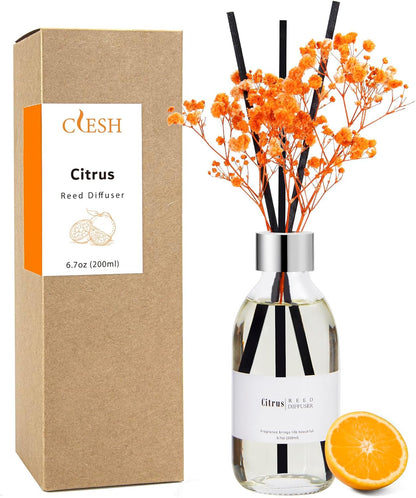 Reed Diffuser Set, 6.7 oz Eucalyptus Scented Diffuser with Sticks, Home Fragrance Reed Diffuser for Bathroom Shelf Decor