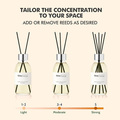 Reed Diffuser Set, 6.7 oz Eucalyptus Scented Diffuser with Sticks, Home Fragrance Reed Diffuser for Bathroom Shelf Decor
