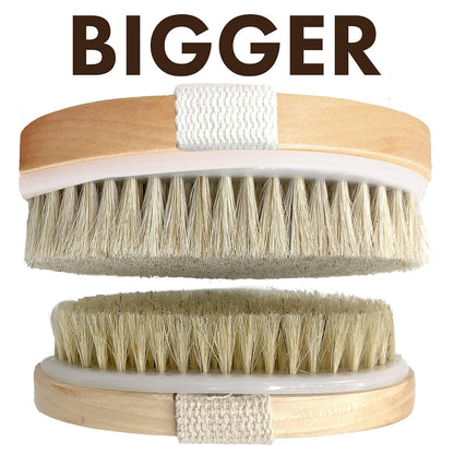 Body Brush Natural Bristle, Dry Brushing Exfoliator for Dead Skin