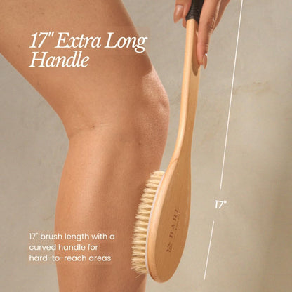 17" Extra Long Dry Body Brush - Medium Firmness Back Scrubber