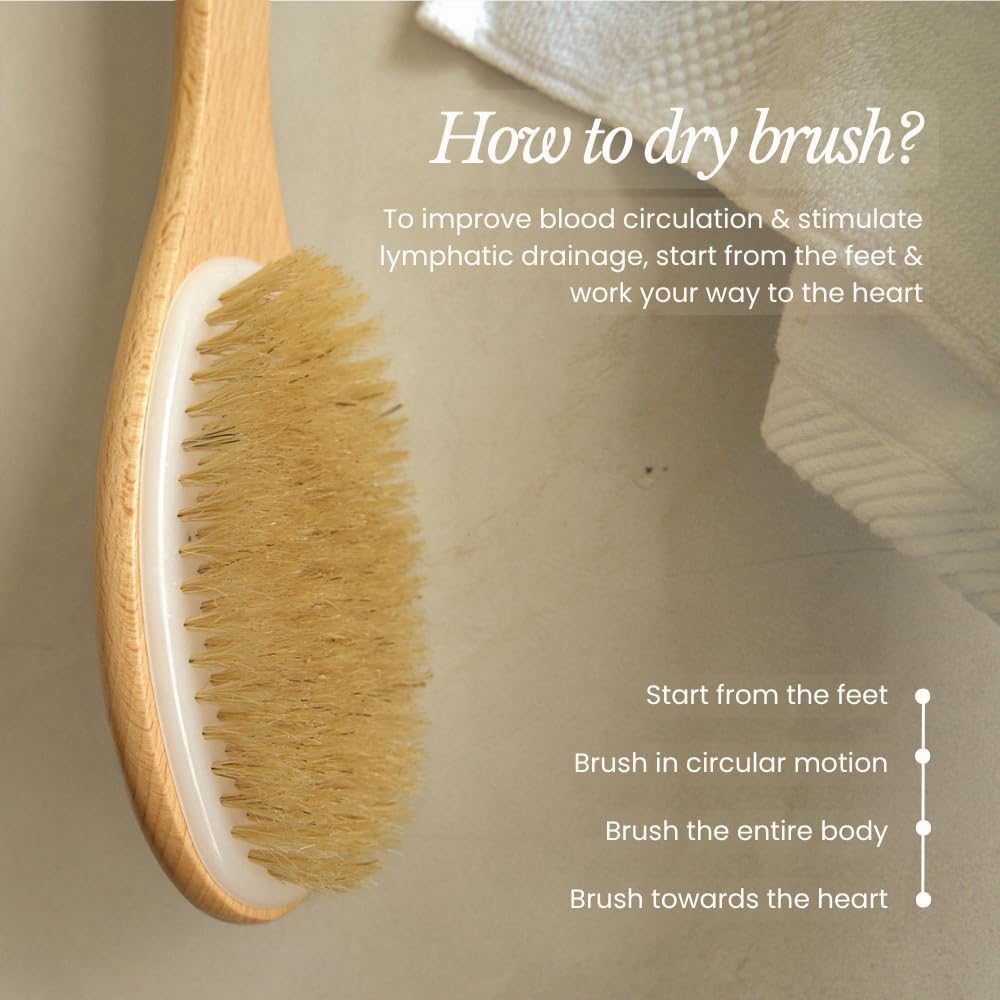 17" Extra Long Dry Body Brush - Medium Firmness Back Scrubber
