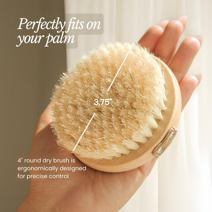 17" Extra Long Dry Body Brush - Medium Firmness Back Scrubber