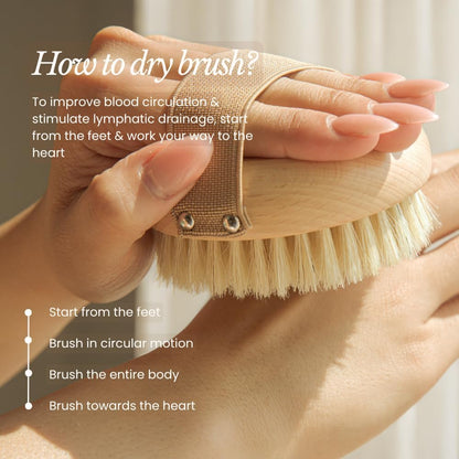 17" Extra Long Dry Body Brush - Medium Firmness Back Scrubber
