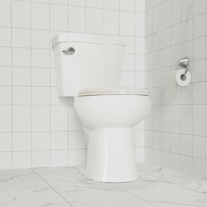 Elongated Toilet Seat with Slow Close & Quiet Close, 19 Inch Never Loosen Durable Lid, Polypropylene Easy to Install & Clean, White