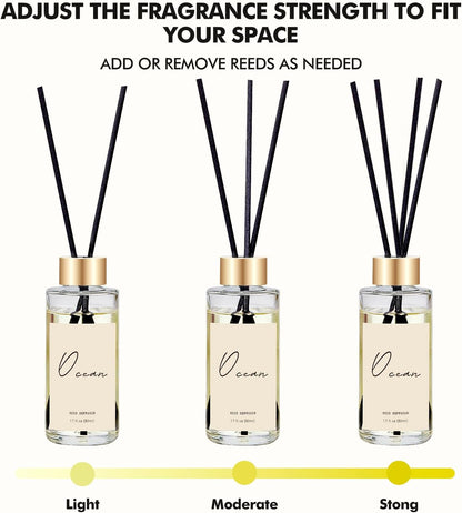 Reed Diffuser Set of 3, Eucalyptus, Linen, Ocean Oil Diffusers with Sticks