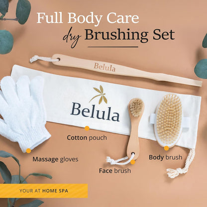 100% Boar Bristle Dry Brushing Body Brush Set, Face Brush, Gloves