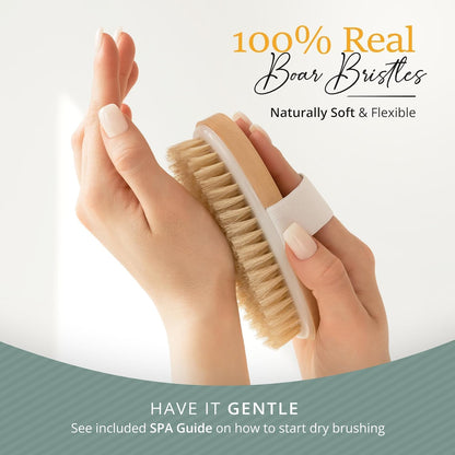 100% Boar Bristle Dry Brushing Body Brush Set, Face Brush, Gloves