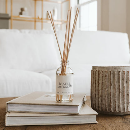Salt & Sea Reed Diffuser Set - Sea Salt Citrus & Musk Amber Scent Diffuser - Reed Diffusers for Home with Long Lasting Fragrance - Non-Toxic Oil Reed Diffuser - Made in the USA