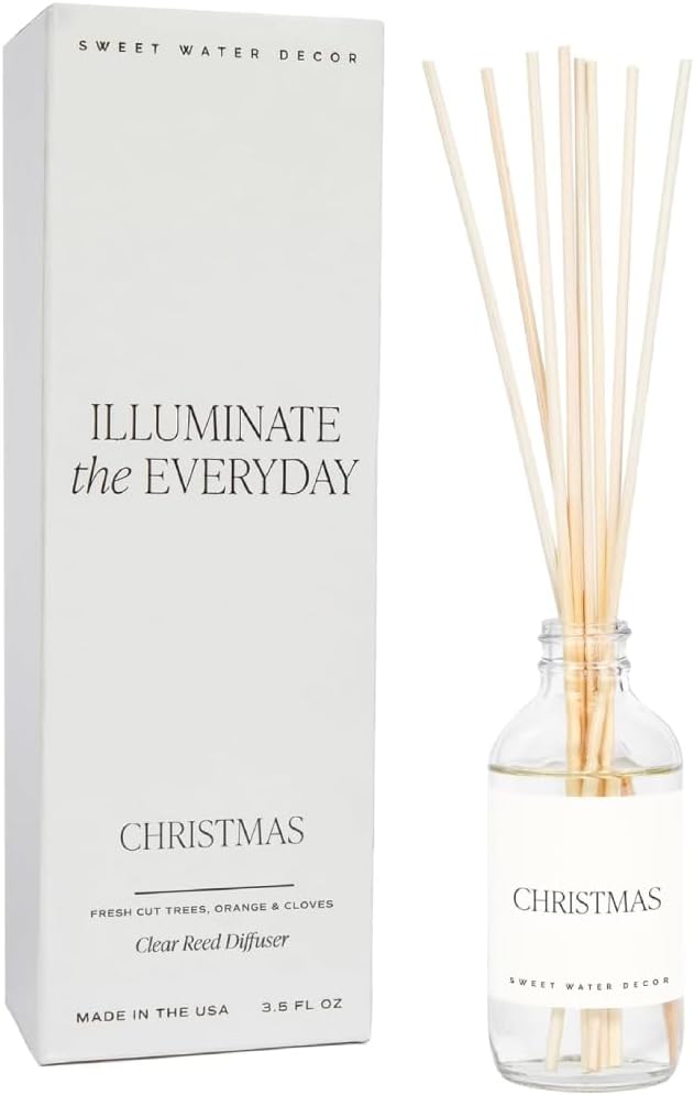 Salt & Sea Reed Diffuser Set - Sea Salt Citrus & Musk Amber Scent Diffuser - Reed Diffusers for Home with Long Lasting Fragrance - Non-Toxic Oil Reed Diffuser - Made in the USA