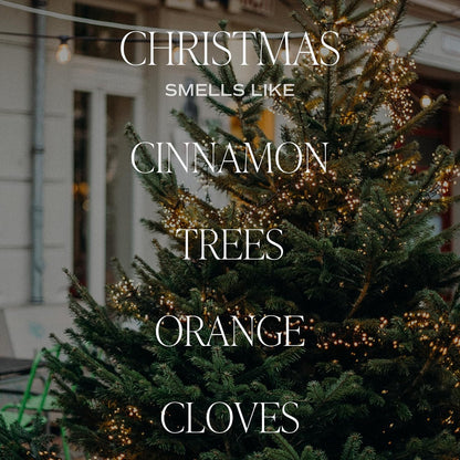 Salt & Sea Reed Diffuser Set - Sea Salt Citrus & Musk Amber Scent Diffuser - Reed Diffusers for Home with Long Lasting Fragrance - Non-Toxic Oil Reed Diffuser - Made in the USA
