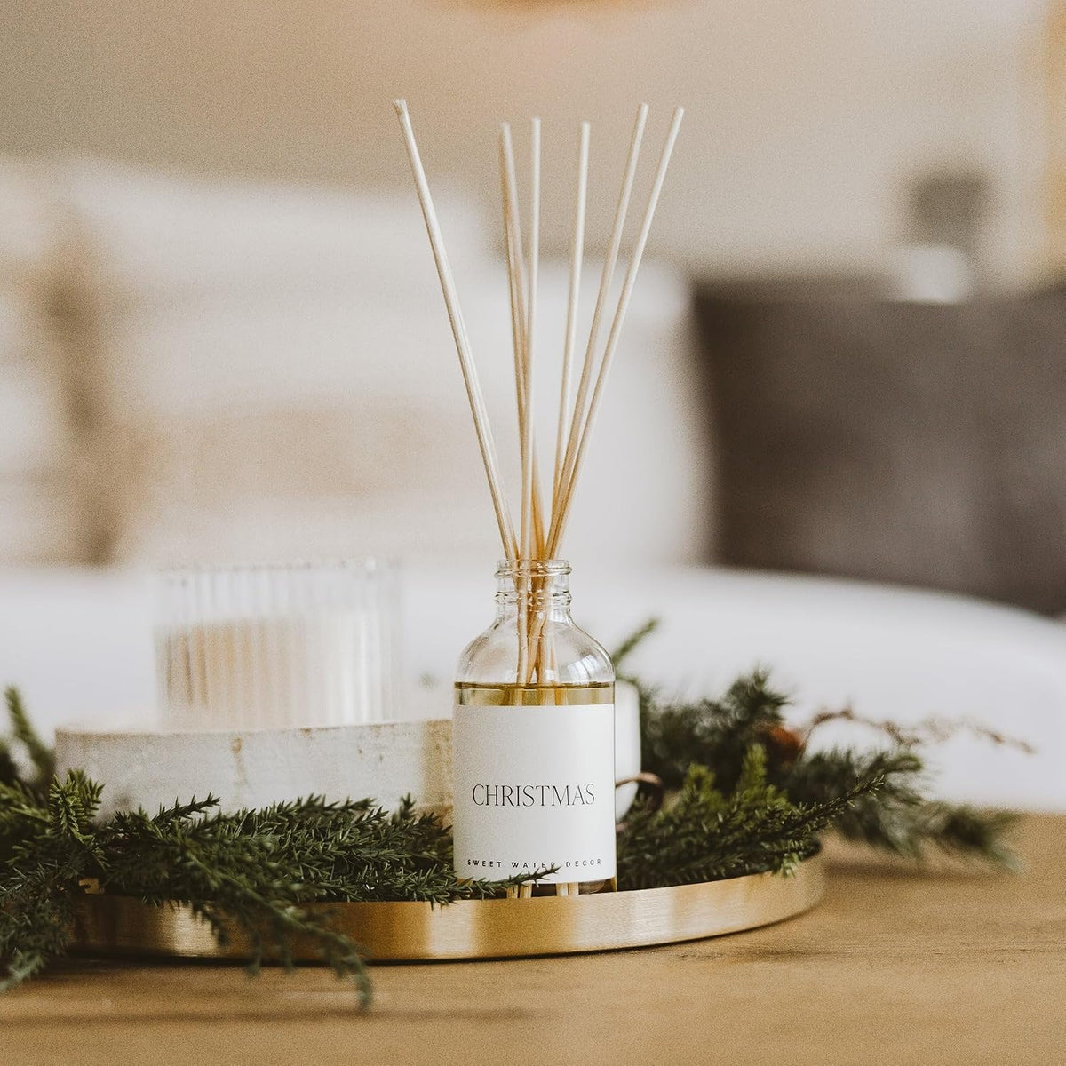 Salt & Sea Reed Diffuser Set - Sea Salt Citrus & Musk Amber Scent Diffuser - Reed Diffusers for Home with Long Lasting Fragrance - Non-Toxic Oil Reed Diffuser - Made in the USA