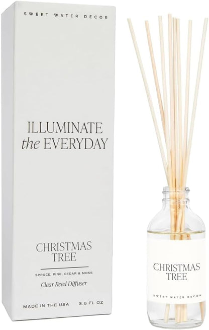 Salt & Sea Reed Diffuser Set - Sea Salt Citrus & Musk Amber Scent Diffuser - Reed Diffusers for Home with Long Lasting Fragrance - Non-Toxic Oil Reed Diffuser - Made in the USA