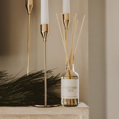 Salt & Sea Reed Diffuser Set - Sea Salt Citrus & Musk Amber Scent Diffuser - Reed Diffusers for Home with Long Lasting Fragrance - Non-Toxic Oil Reed Diffuser - Made in the USA