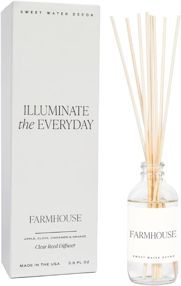 Salt & Sea Reed Diffuser Set - Sea Salt Citrus & Musk Amber Scent Diffuser - Reed Diffusers for Home with Long Lasting Fragrance - Non-Toxic Oil Reed Diffuser - Made in the USA
