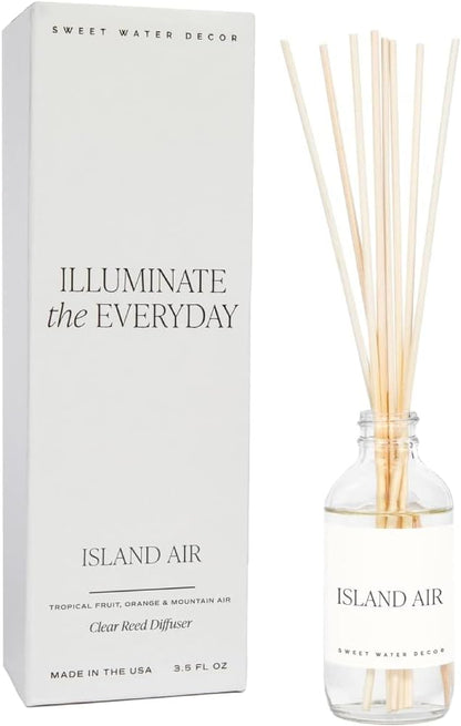 Salt & Sea Reed Diffuser Set - Sea Salt Citrus & Musk Amber Scent Diffuser - Reed Diffusers for Home with Long Lasting Fragrance - Non-Toxic Oil Reed Diffuser - Made in the USA