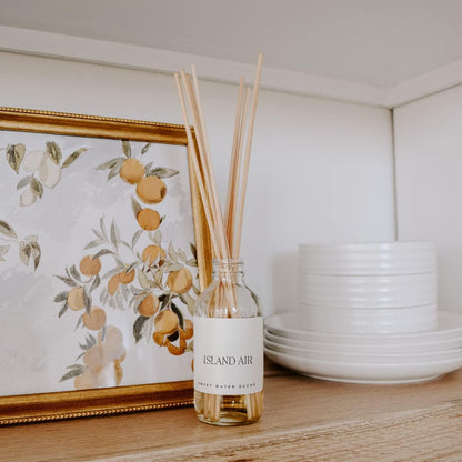 Salt & Sea Reed Diffuser Set - Sea Salt Citrus & Musk Amber Scent Diffuser - Reed Diffusers for Home with Long Lasting Fragrance - Non-Toxic Oil Reed Diffuser - Made in the USA