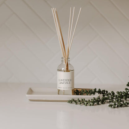 Salt & Sea Reed Diffuser Set - Sea Salt Citrus & Musk Amber Scent Diffuser - Reed Diffusers for Home with Long Lasting Fragrance - Non-Toxic Oil Reed Diffuser - Made in the USA