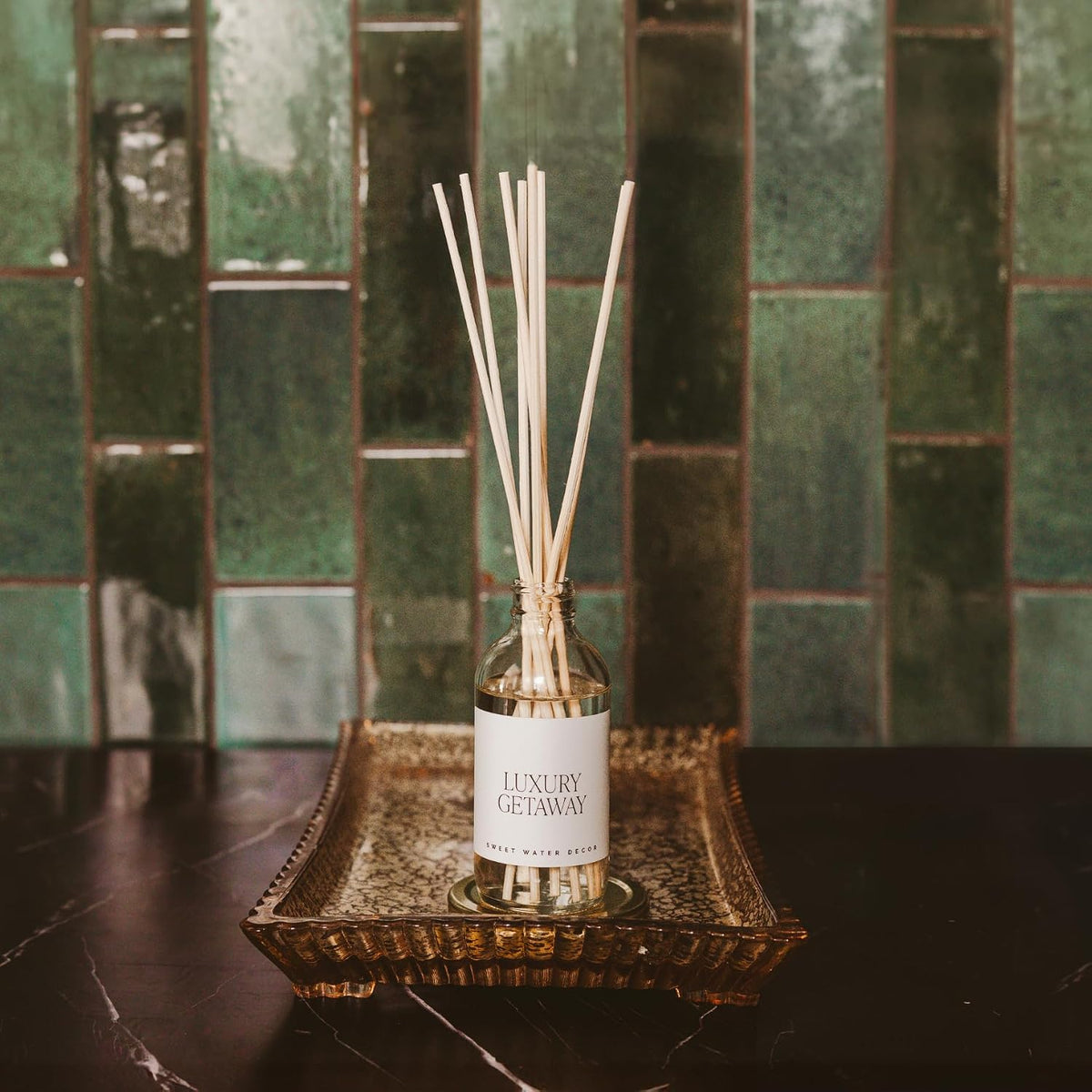 Salt & Sea Reed Diffuser Set - Sea Salt Citrus & Musk Amber Scent Diffuser - Reed Diffusers for Home with Long Lasting Fragrance - Non-Toxic Oil Reed Diffuser - Made in the USA