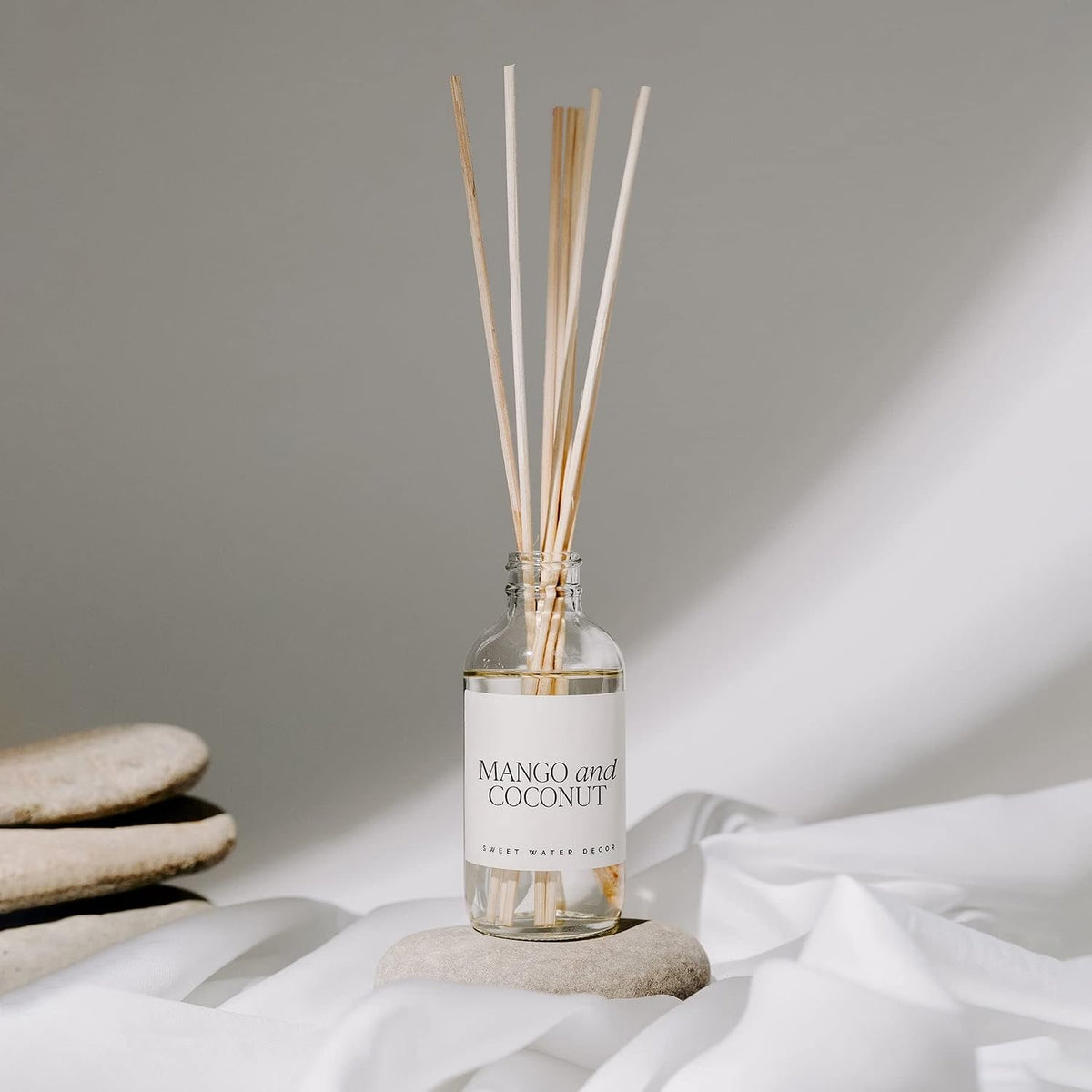 Salt & Sea Reed Diffuser Set - Sea Salt Citrus & Musk Amber Scent Diffuser - Reed Diffusers for Home with Long Lasting Fragrance - Non-Toxic Oil Reed Diffuser - Made in the USA