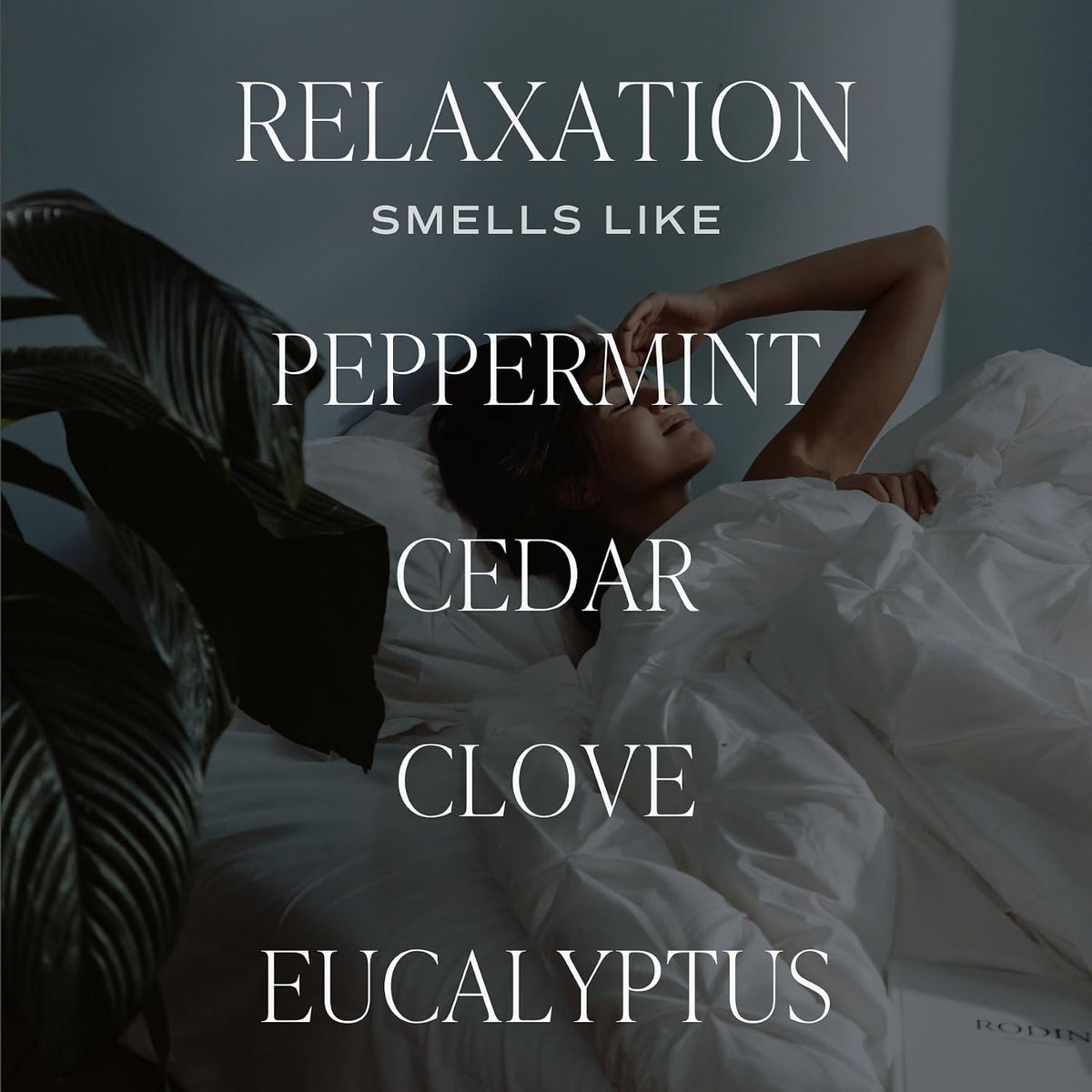 Salt & Sea Reed Diffuser Set - Sea Salt Citrus & Musk Amber Scent Diffuser - Reed Diffusers for Home with Long Lasting Fragrance - Non-Toxic Oil Reed Diffuser - Made in the USA