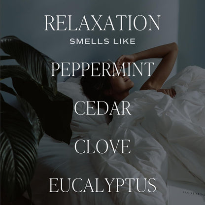 Salt & Sea Reed Diffuser Set - Sea Salt Citrus & Musk Amber Scent Diffuser - Reed Diffusers for Home with Long Lasting Fragrance - Non-Toxic Oil Reed Diffuser - Made in the USA