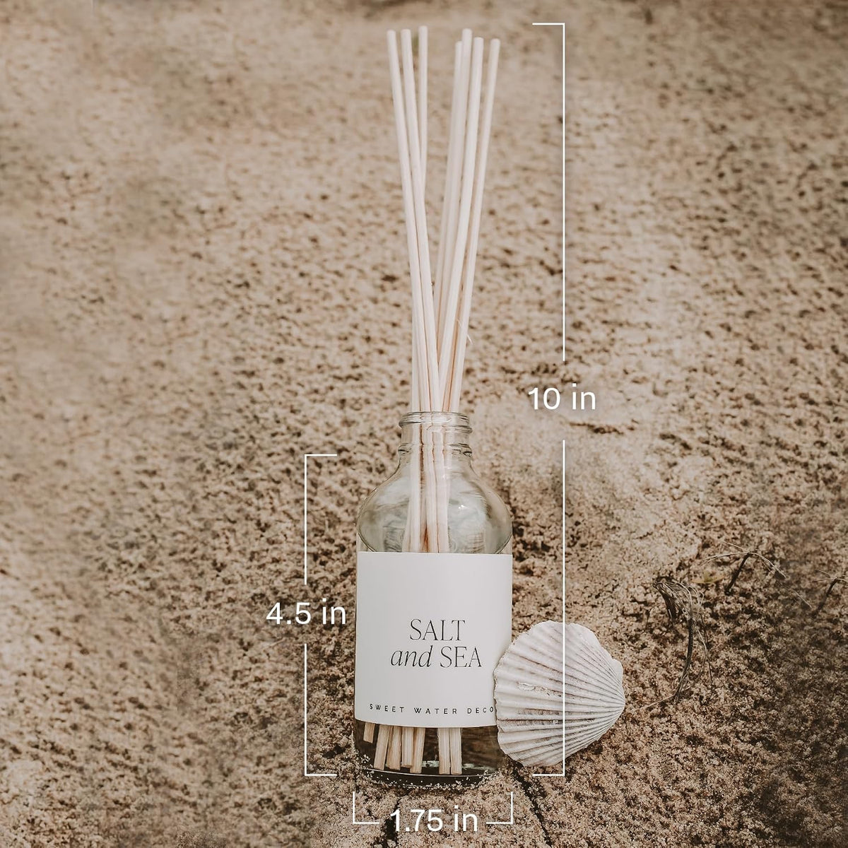 Salt & Sea Reed Diffuser Set - Sea Salt Citrus & Musk Amber Scent Diffuser - Reed Diffusers for Home with Long Lasting Fragrance - Non-Toxic Oil Reed Diffuser - Made in the USA