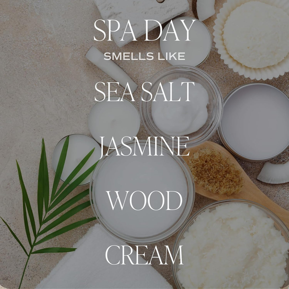Salt & Sea Reed Diffuser Set - Sea Salt Citrus & Musk Amber Scent Diffuser - Reed Diffusers for Home with Long Lasting Fragrance - Non-Toxic Oil Reed Diffuser - Made in the USA