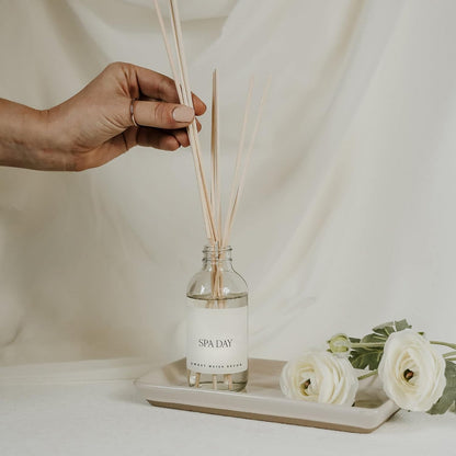 Salt & Sea Reed Diffuser Set - Sea Salt Citrus & Musk Amber Scent Diffuser - Reed Diffusers for Home with Long Lasting Fragrance - Non-Toxic Oil Reed Diffuser - Made in the USA