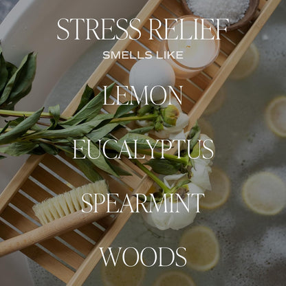 Salt & Sea Reed Diffuser Set - Sea Salt Citrus & Musk Amber Scent Diffuser - Reed Diffusers for Home with Long Lasting Fragrance - Non-Toxic Oil Reed Diffuser - Made in the USA
