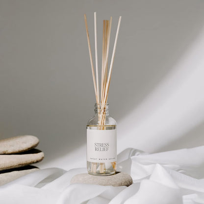 Salt & Sea Reed Diffuser Set - Sea Salt Citrus & Musk Amber Scent Diffuser - Reed Diffusers for Home with Long Lasting Fragrance - Non-Toxic Oil Reed Diffuser - Made in the USA