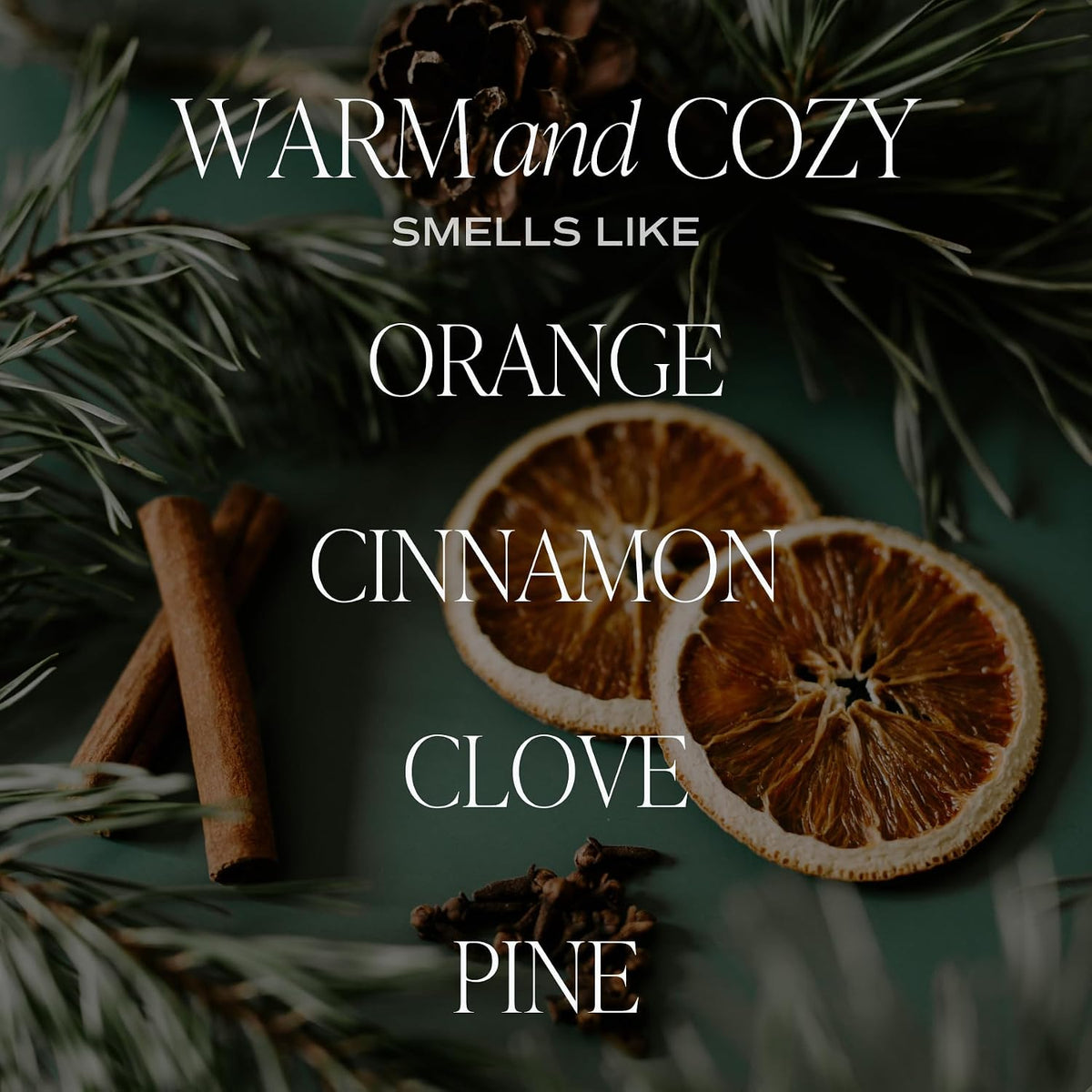 Salt & Sea Reed Diffuser Set - Sea Salt Citrus & Musk Amber Scent Diffuser - Reed Diffusers for Home with Long Lasting Fragrance - Non-Toxic Oil Reed Diffuser - Made in the USA
