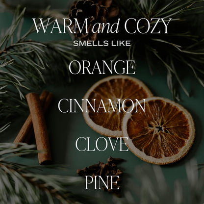 Salt & Sea Reed Diffuser Set - Sea Salt Citrus & Musk Amber Scent Diffuser - Reed Diffusers for Home with Long Lasting Fragrance - Non-Toxic Oil Reed Diffuser - Made in the USA