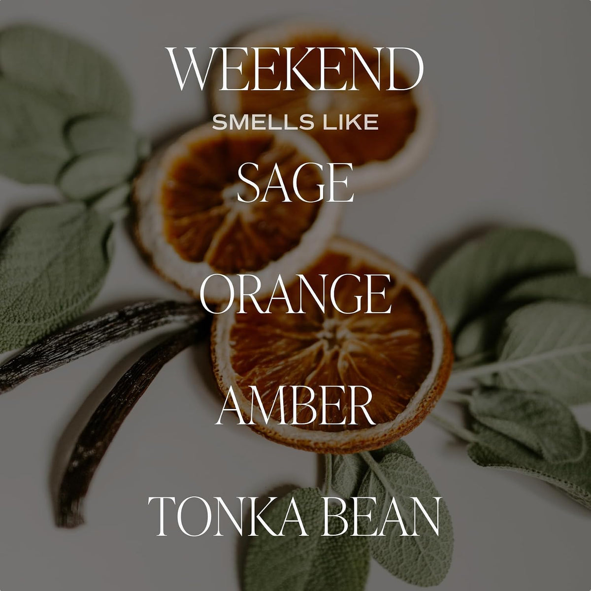 Salt & Sea Reed Diffuser Set - Sea Salt Citrus & Musk Amber Scent Diffuser - Reed Diffusers for Home with Long Lasting Fragrance - Non-Toxic Oil Reed Diffuser - Made in the USA
