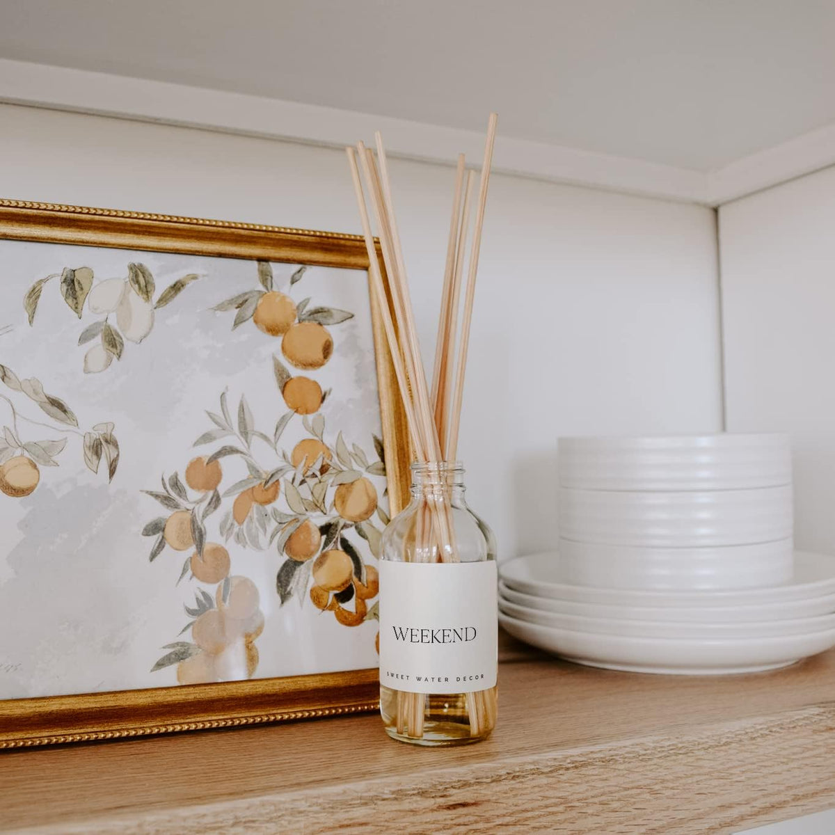 Salt & Sea Reed Diffuser Set - Sea Salt Citrus & Musk Amber Scent Diffuser - Reed Diffusers for Home with Long Lasting Fragrance - Non-Toxic Oil Reed Diffuser - Made in the USA