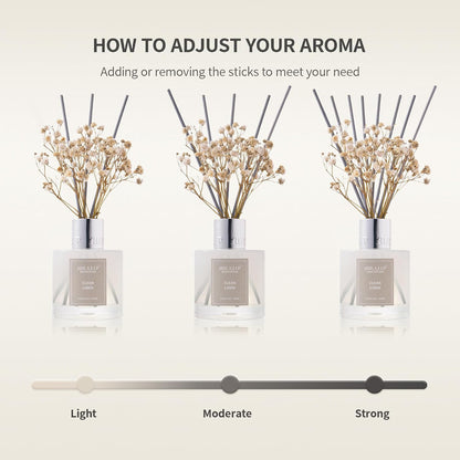 Reed Diffuser Set,3.38 fl oz (100 ml) - Ocean Mist&Sea Salt Oil Diffusers with 8 Reed Sticks,Home Fragrance Reed Diffuser for Bathroom Shelf Decor