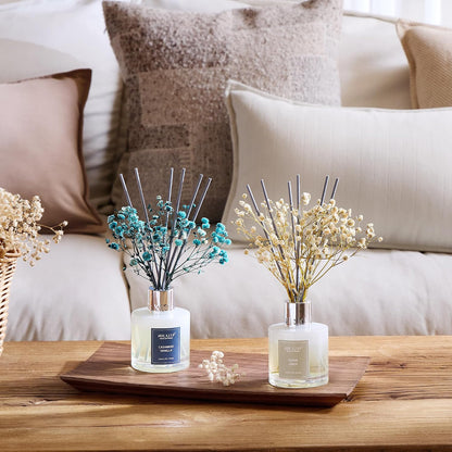 Reed Diffuser Set,3.38 fl oz (100 ml) - Ocean Mist&Sea Salt Oil Diffusers with 8 Reed Sticks,Home Fragrance Reed Diffuser for Bathroom Shelf Decor