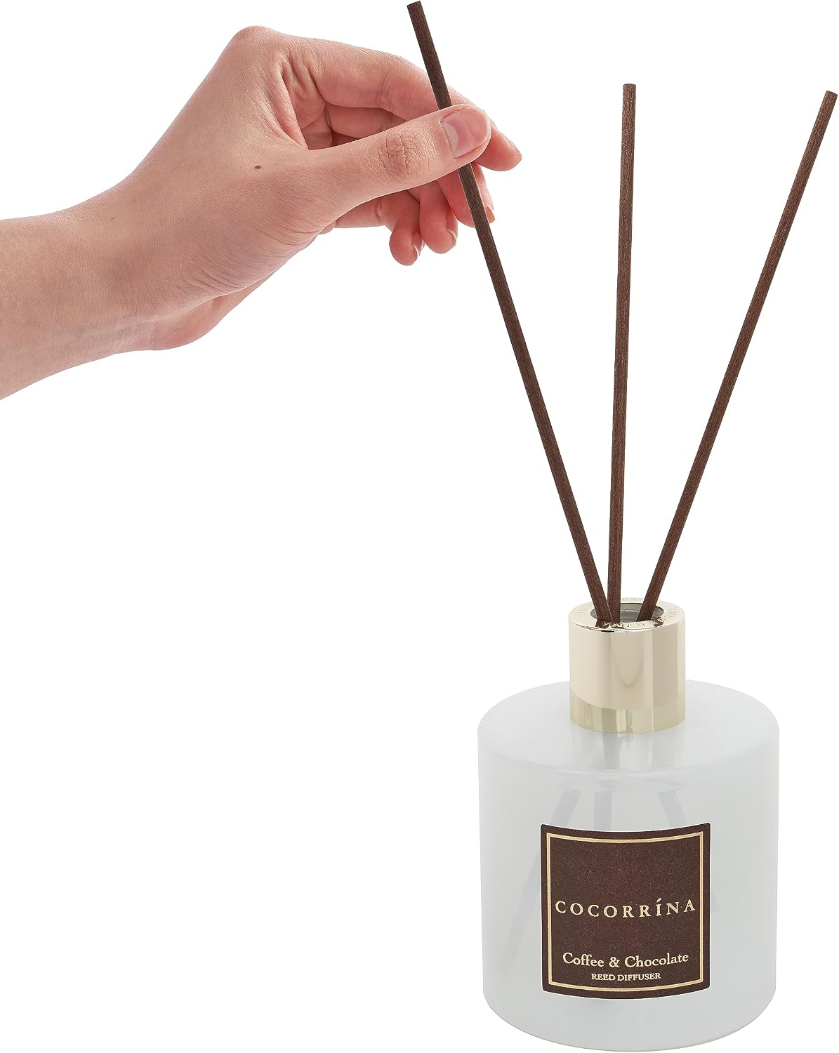 Reed Diffuser - Cashmere Vanilla 6.7 fl oz Reed Diffuser for Bedroom Bathroom Home Décor