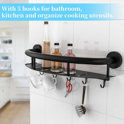 Brushed Nickel Handicap Grab Bar with Toilet Paper Roll Holder | 2-in-1 Safety Bar 17 Inch, Stainless Steel, Bathroom Toilet Grab Bar for Senior Elderly, Balance Support Handle, Wall Mounted