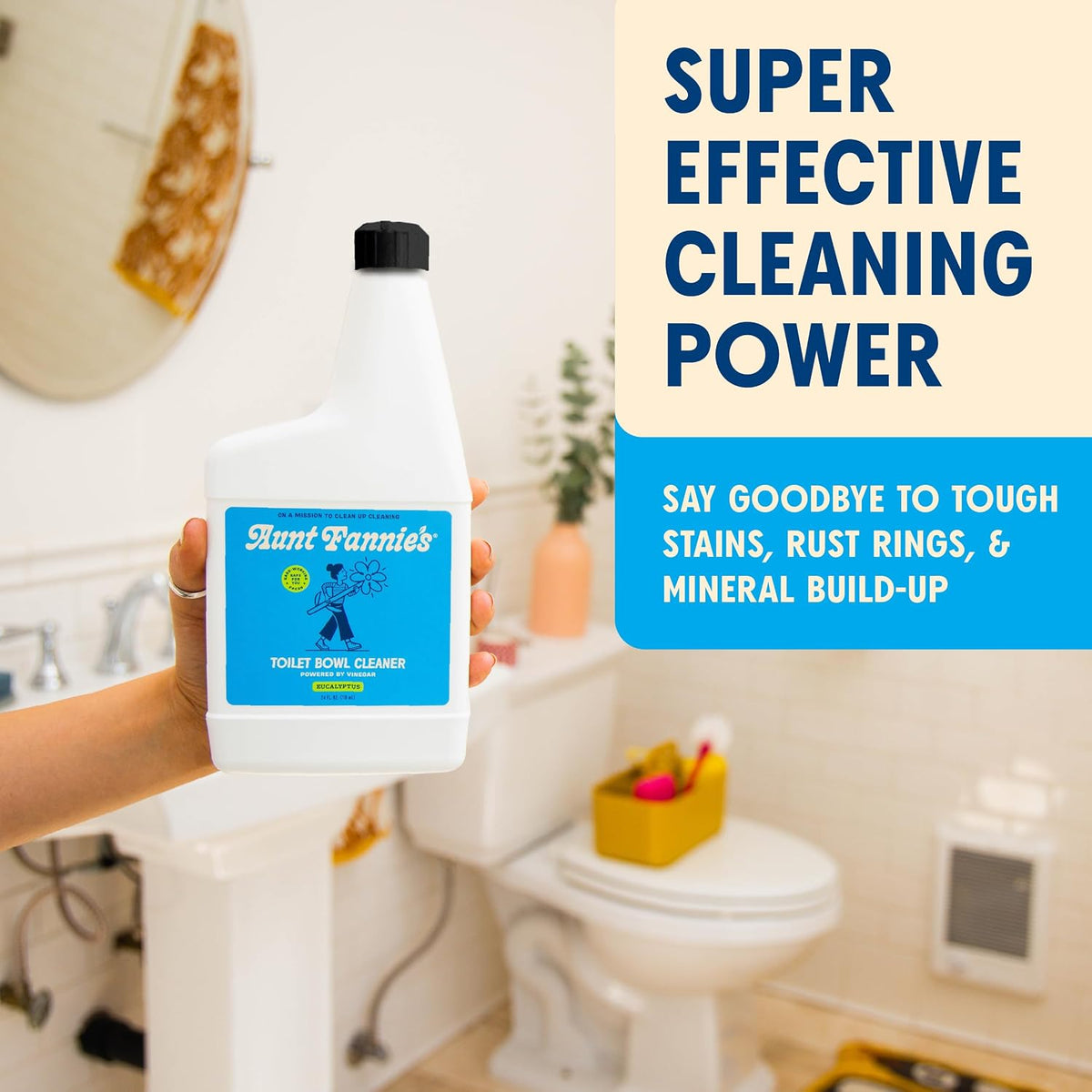 Toilet Bowl Cleaner, Eucalyptus, 24 fl oz