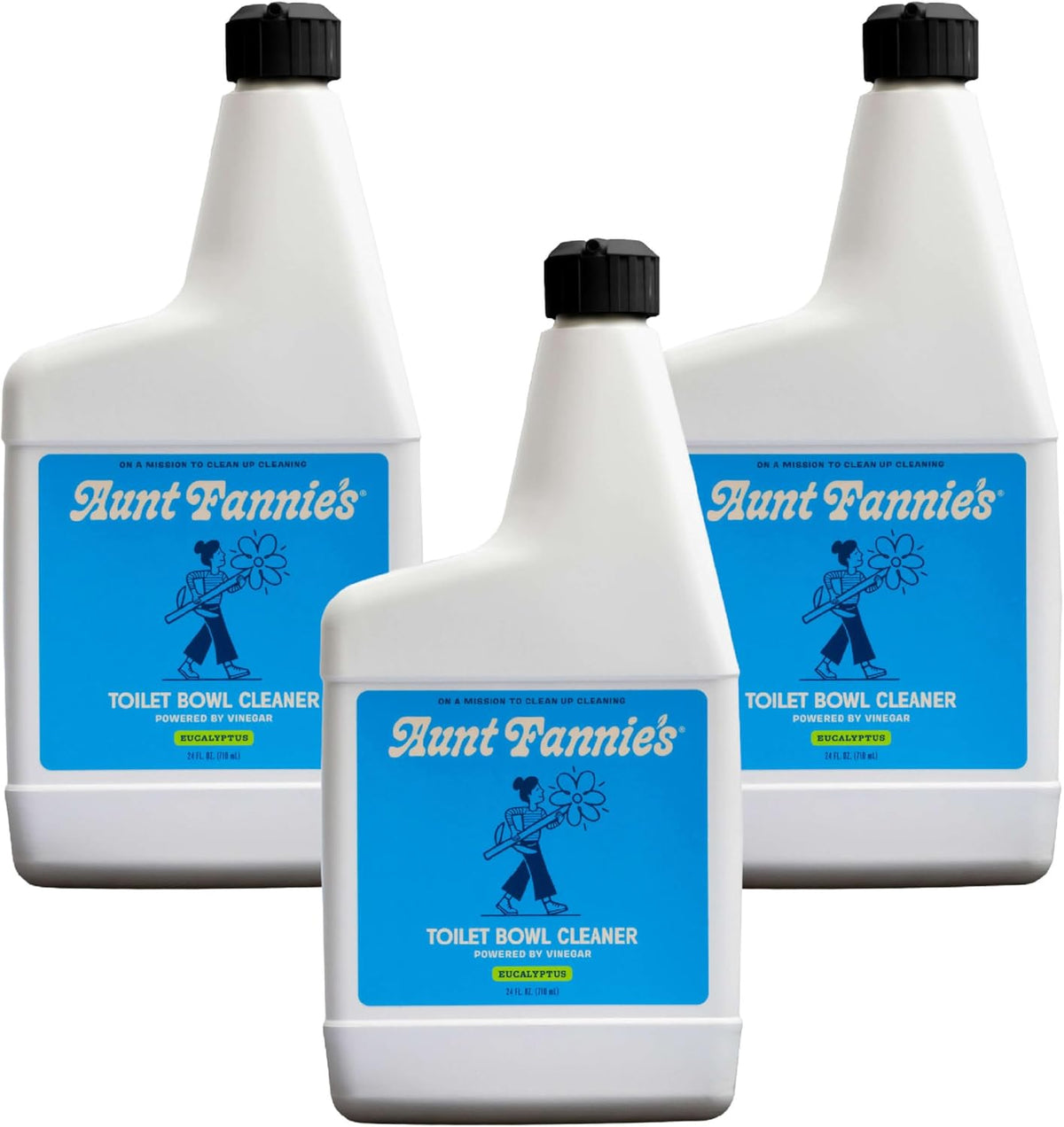 Toilet Bowl Cleaner, Eucalyptus, 24 fl oz