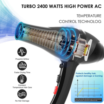 Hair Dryer Professional Ionic Salon Hair Dryer 2400W Powerful Fast-Drying Blue Light Ionic Hair Dryers with Diffuser, AC Motor Constant Temperature Quiet Ion Dryers for Women Men