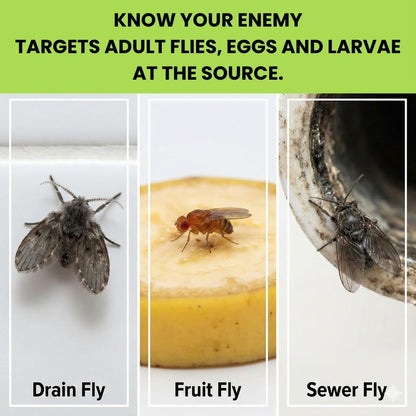 Drain Fly & Fruit Fly Gel Treatment for Sinks & Drains, 32 oz