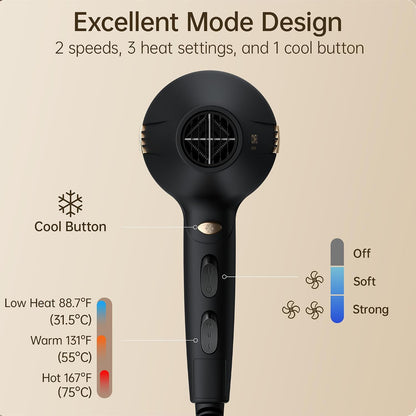 Hair Dryer Pro, Professional Ionic Salon Blow Dryer with Diffuser for Women and Men, 5X Fast Drying, Powerful and Quiet Hair Blow Dryer for Fast & Easy Styling (1875 Watts)