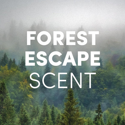 Foaming Hand Soap Refill Supply Container, Ready to Use Formula, Fragrance Free, 64 Fl Oz
