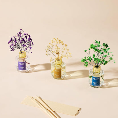 Reed Diffuser Set of 3,Clean Linen Ocean Mist&Sea Salt Lavender Eucalyptus Oil Reed Diffusers for Bedroom Living Room Office Aromatherapy Oil Reed Diffuser for Gift 50ml x 3