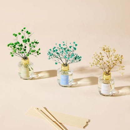 Reed Diffuser Set of 3,Clean Linen Ocean Mist&Sea Salt Lavender Eucalyptus Oil Reed Diffusers for Bedroom Living Room Office Aromatherapy Oil Reed Diffuser for Gift 50ml x 3